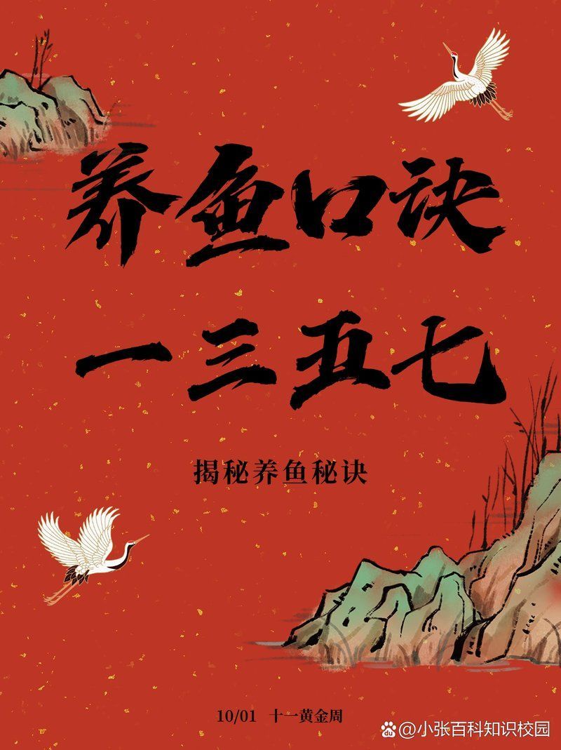 能否提供養龍魚十句口訣的詳細步驟，養龍魚十句口訣
