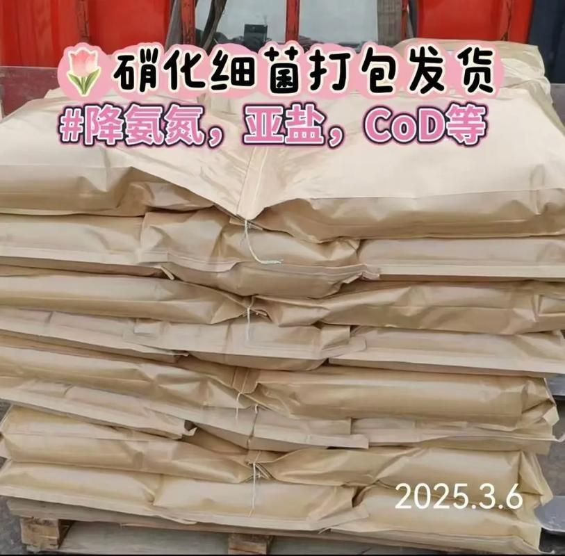 如何選擇適合魚缸的益生菌？，如何選擇適合魚缸的益生菌