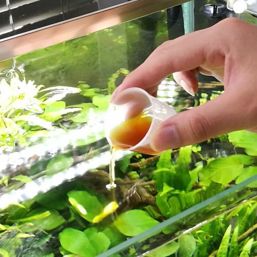 如何選擇適合魚缸的益生菌？，如何選擇適合魚缸的益生菌
