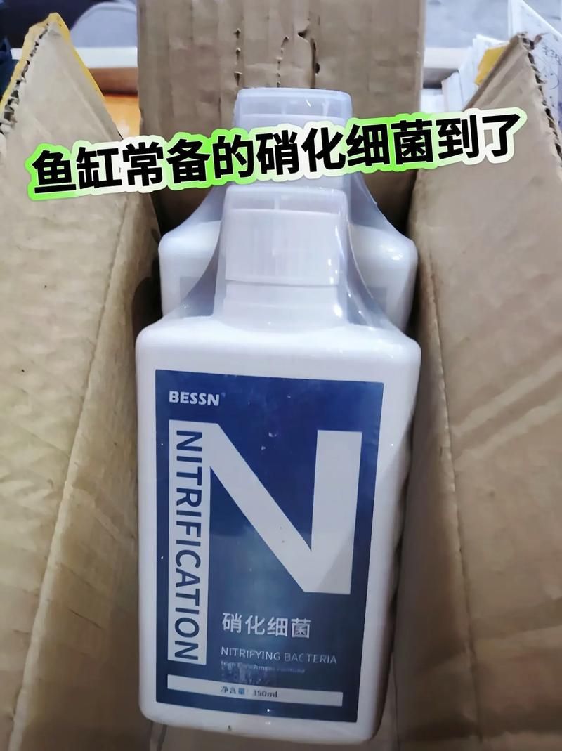 如何選擇適合魚缸的益生菌？，如何選擇適合魚缸的益生菌