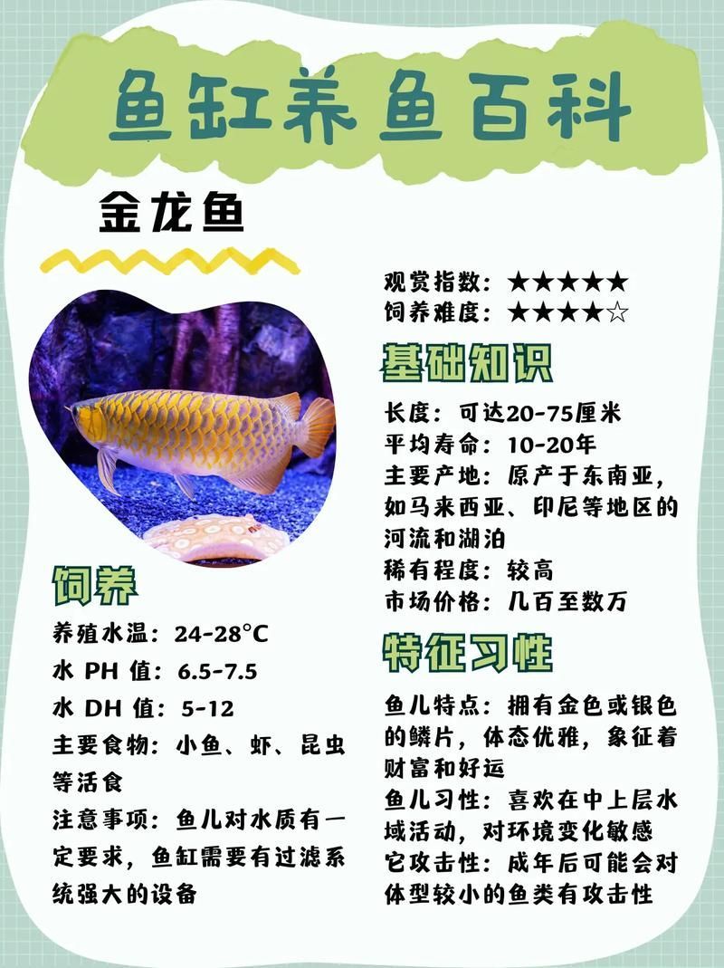 40公分金龍魚有哪些品種，40公分金龍魚40公分金龍魚40公分金龍魚有哪些品種