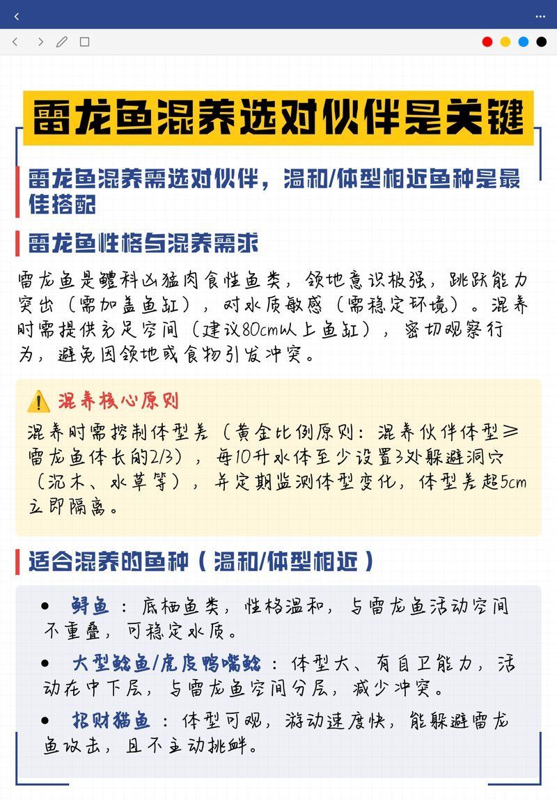 詳細閱讀:如何判斷雷龍魚是否適應混養,如何判斷雷龍魚是否適應混養雷龍魚是否適應混養 如何判斷雷龍魚是否適應混養,如何判斷雷龍魚是否適應混養雷龍魚是否適應混養