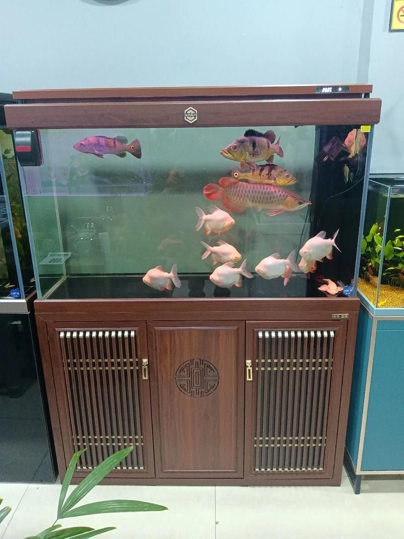 森森魚缸蓋子材質是什么？，森森魚缸蓋子價格是多少？