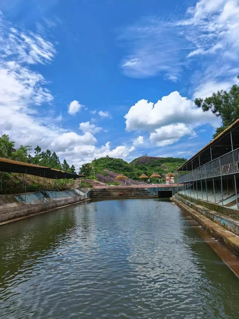 祥龍魚場在廣東有哪些合作基地？，祥龍魚場在全球知名觀賞魚養殖企業 祥龍魚場在廣東有哪些合作基地？，祥龍魚場在全球知名觀賞魚養殖企業 龍魚百科 第6張