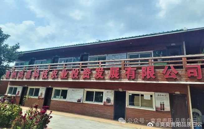 祥龍魚場在廣東有哪些合作基地？，祥龍魚場在全球知名觀賞魚養殖企業