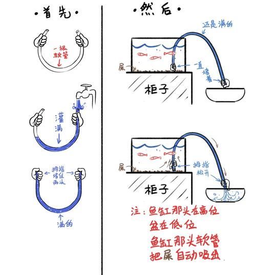 魚缸有菌怎么徹底清理，魚缸“有菌”與“有害菌”與“有害菌”—配圖