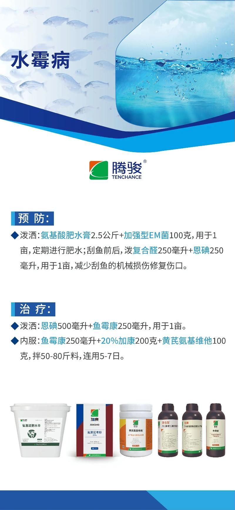 如何預防銀龍魚水霉病，如何預防銀龍魚水霉病預防勝于治療，科學管理是關鍵
