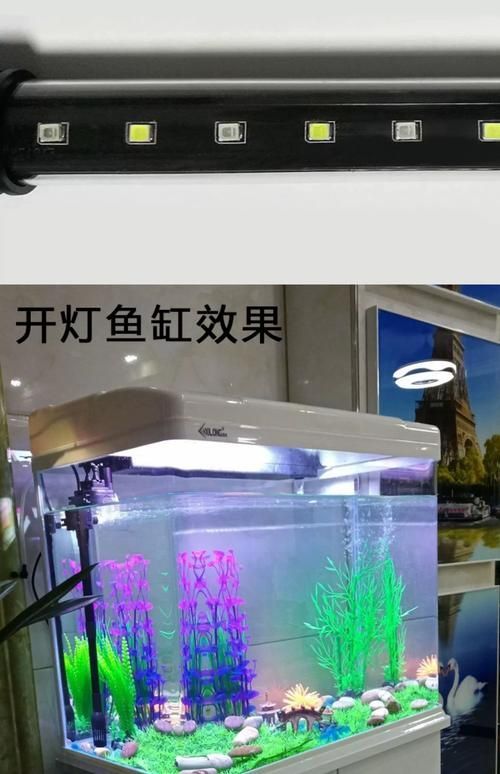 有沒有龍魚缸燈擺放視頻教程，龍魚缸燈擺放視頻教程