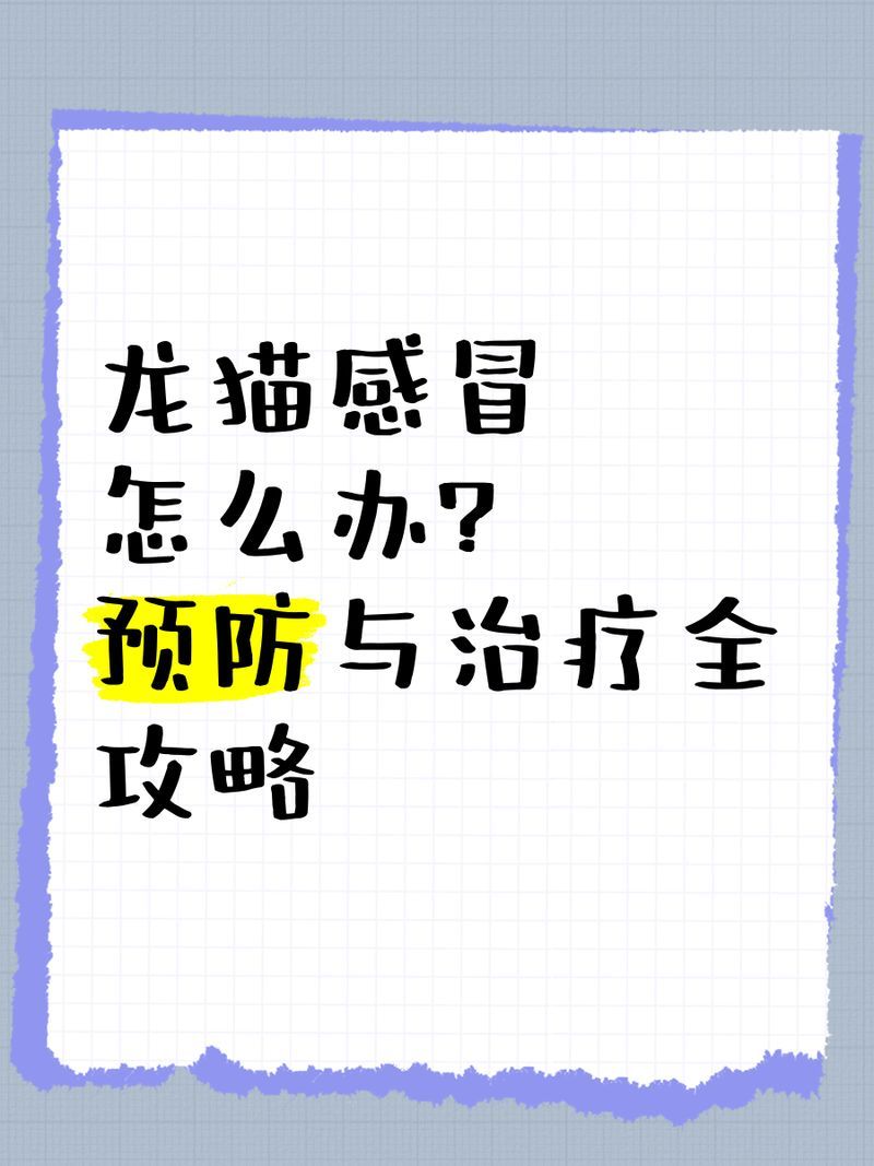如何科學降低龍貓傳染風險，如何科學的飼養(yǎng)龍貓 如何科學降低龍貓傳染風險，如何科學的飼養(yǎng)龍貓 龍魚百科 第2張