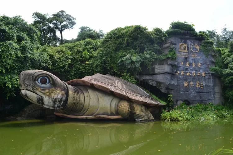 湖光巖景區有哪些龍魚目擊記錄？，湖光巖景區的“龍魚”目擊記錄成為了一處自然景觀