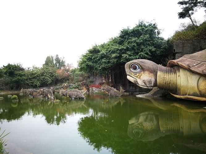 湖光巖景區有哪些龍魚目擊記錄？，湖光巖景區的“龍魚”目擊記錄成為了一處自然景觀