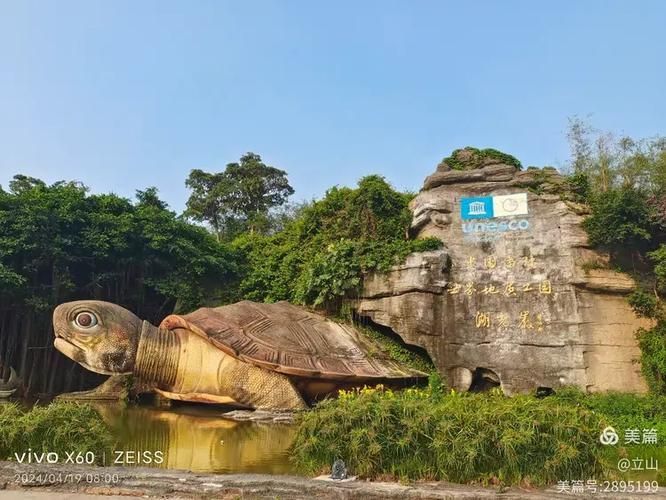 湖光巖景區(qū)有哪些龍魚目擊記錄？，湖光巖景區(qū)的“龍魚”目擊記錄成為了一處自然景觀
