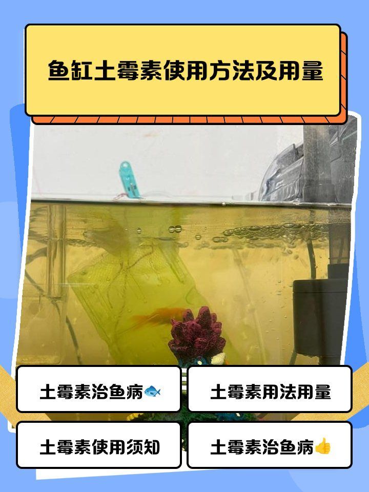土霉素對哪些魚類安全
