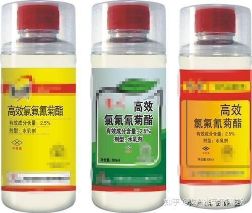 給我一些鲺和魚虱的圖片，鲺和魚虱哪個對魚類危害更大[需手動填充]和魚虱的繁殖方式 給我一些鲺和魚虱的圖片，鲺和魚虱哪個對魚類危害更大[需手動填充]和魚虱的繁殖方式 龍魚百科 第7張