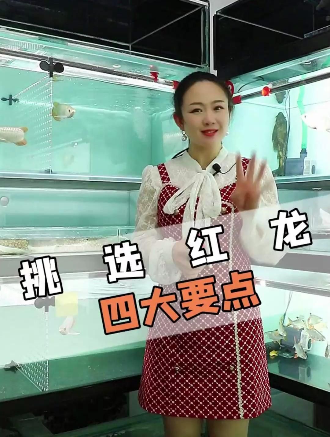 如何挑選新鮮的杜集龍魚，如何挑選新鮮的杜集龍魚,“杜集龍魚”并非真實存在的龍魚品種