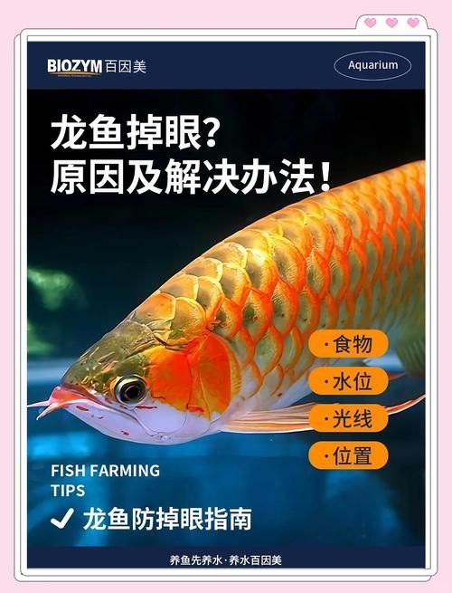 如何判斷龍魚是否真的掉眼？，如何判斷龍魚掉眼 如何判斷龍魚是否真的掉眼？，如何判斷龍魚掉眼 龍魚百科 第5張