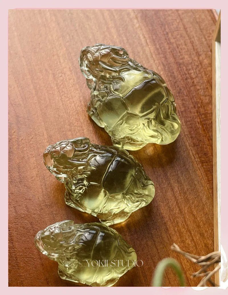 如何正確擺放龍龜，如何正確擺放龍龜，正確擺放龍龜的擺放方向是什么