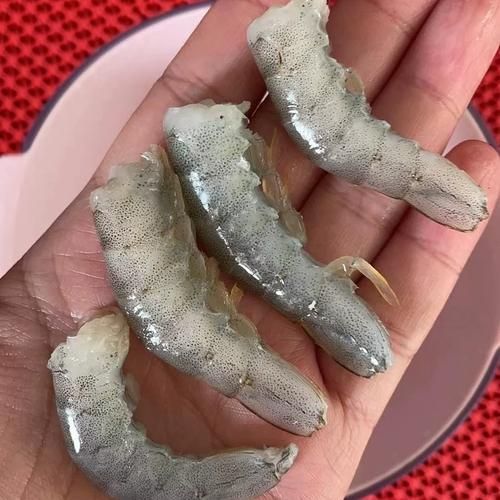 龍魚厭食后如何恢復喂食，龍魚厭食后如何恢復喂食用戶要求1000字篇幅和配圖