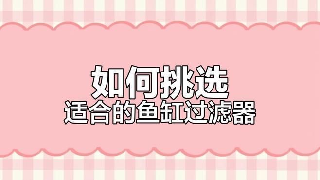 養龍魚需要哪些過濾設備，養龍魚所需的主要過濾設備