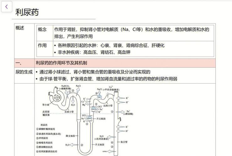 有哪些常見的聯合用藥方案，二甲雙胍利尿劑、糖尿病中二甲雙胍+吡嗪酰胺等聯合用藥方案