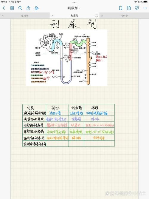 有哪些常見的聯合用藥方案，二甲雙胍利尿劑、糖尿病中二甲雙胍+吡嗪酰胺等聯合用藥方案