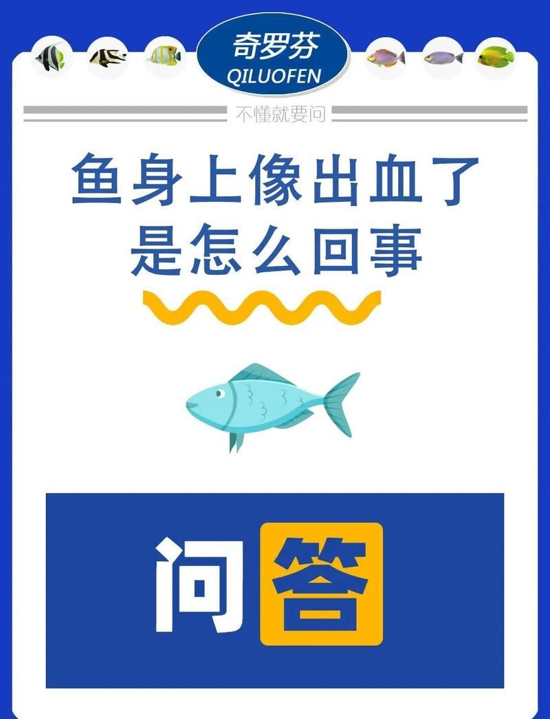 有哪些藥物可以治療魚充血，治療魚充血的常用藥物