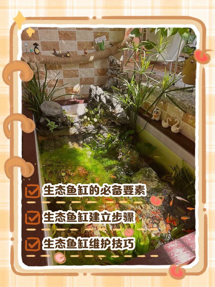 如何模擬自然棲息環境配置生態缸，——生態缸配置生態缸配置生態缸的配置 如何模擬自然棲息環境配置生態缸，——生態缸配置生態缸配置生態缸的配置 龍魚百科 第1張