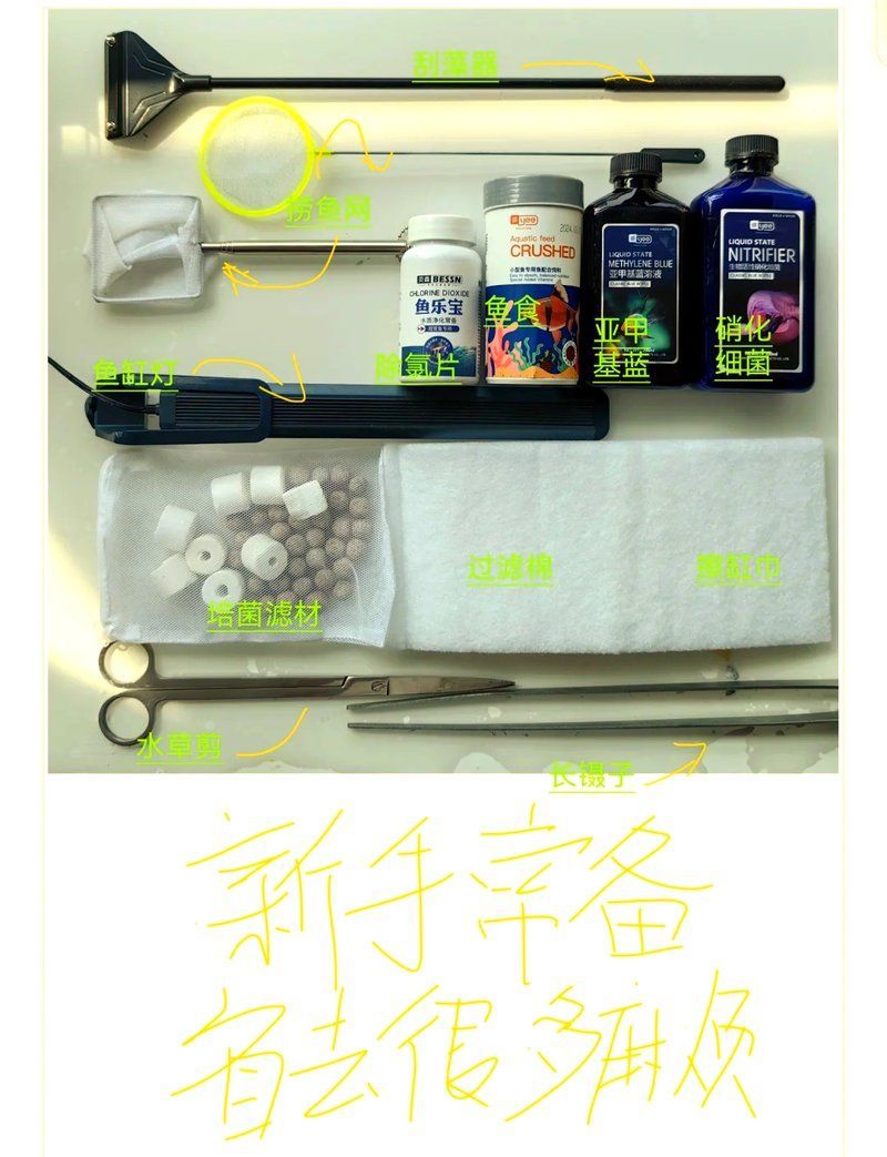 龍魚苗飼養需要哪些設備，龍魚苗飼養需要哪些品牌龍魚苗飼養設備推薦