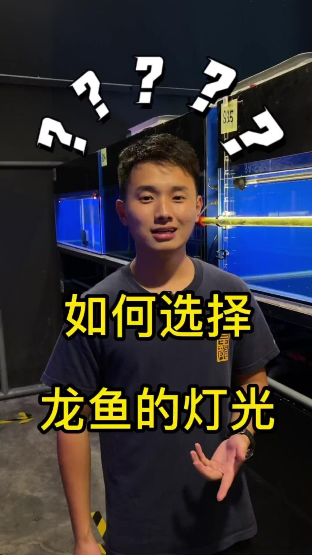 如何調(diào)整龍魚飼養(yǎng)環(huán)境的燈光，如何判斷龍魚是否需要調(diào)整燈光 如何調(diào)整龍魚飼養(yǎng)環(huán)境的燈光，如何判斷龍魚是否需要調(diào)整燈光 龍魚百科