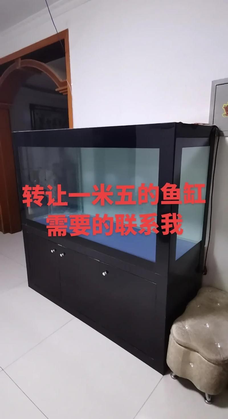 祥龍魚缸的價格范圍是多少？，祥龍魚缸價格范圍是多少祥龍魚缸的價格范圍是多少