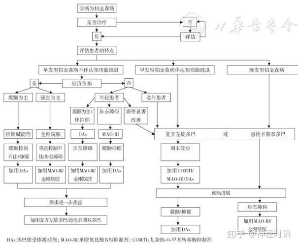 能否提供藥物治療的流程圖，如何提供藥物治療流程圖