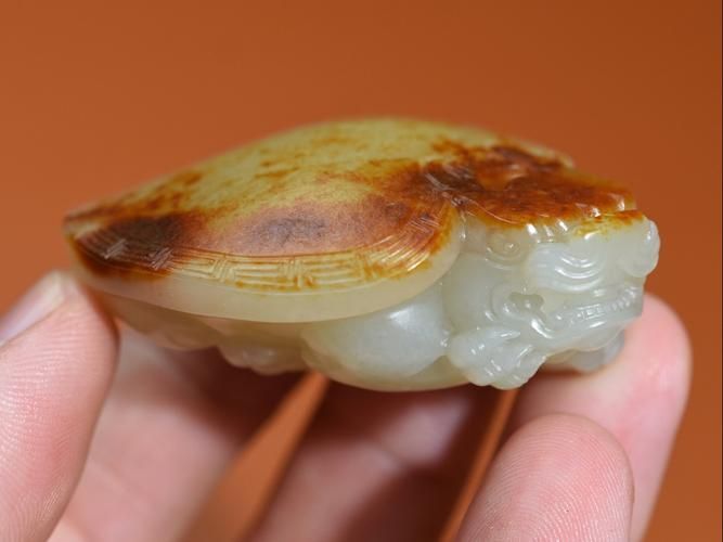 如何鑒別龍龜材質(zhì)的真?zhèn)危绾舞b別龍龜材質(zhì)的真?zhèn)?