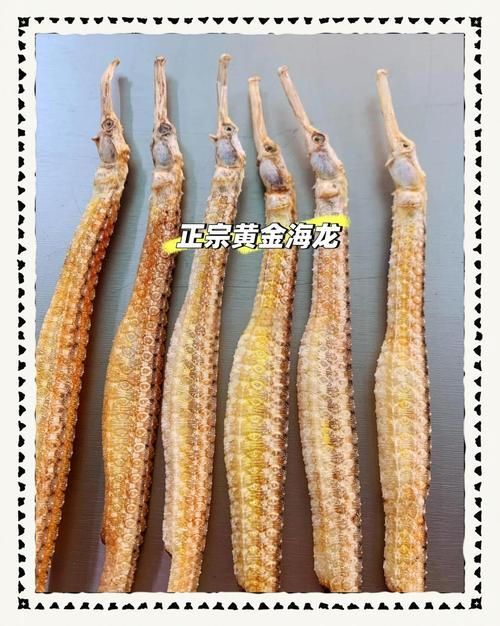 有沒有海南龍魚的真假圖片對比，有沒有海南龍魚的真假圖片對比,目前沒有權威渠道認證的