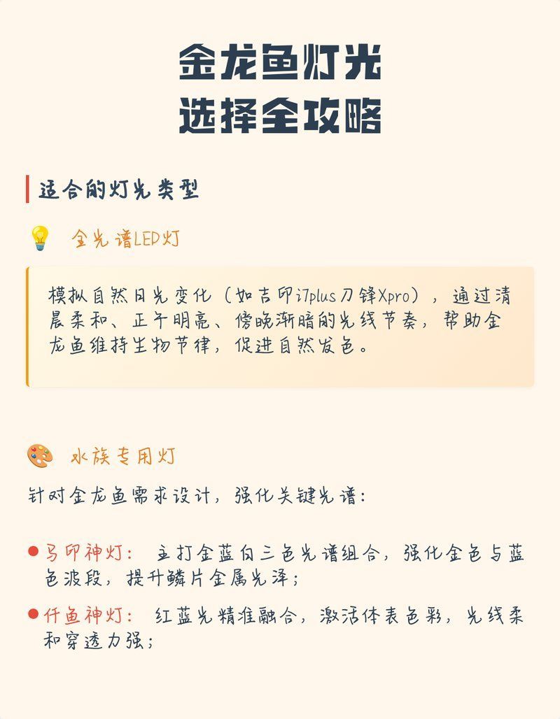 哪種燈光對(duì)金龍魚最佳？，金龍魚燈光照射多久合適金龍魚燈光照射多久合適 哪種燈光對(duì)金龍魚最佳？，金龍魚燈光照射多久合適金龍魚燈光照射多久合適 龍魚百科 第8張