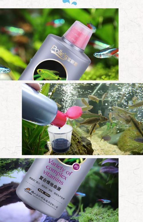 如何預(yù)防龍魚鰓蓋小洞，如何預(yù)防龍魚鰓蓋小洞（頭洞病） 如何預(yù)防龍魚鰓蓋小洞，如何預(yù)防龍魚鰓蓋小洞（頭洞病） 龍魚百科 第10張