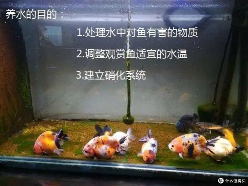 如何構(gòu)建穩(wěn)定的硝化系統(tǒng)，如何構(gòu)建硝化系統(tǒng)
