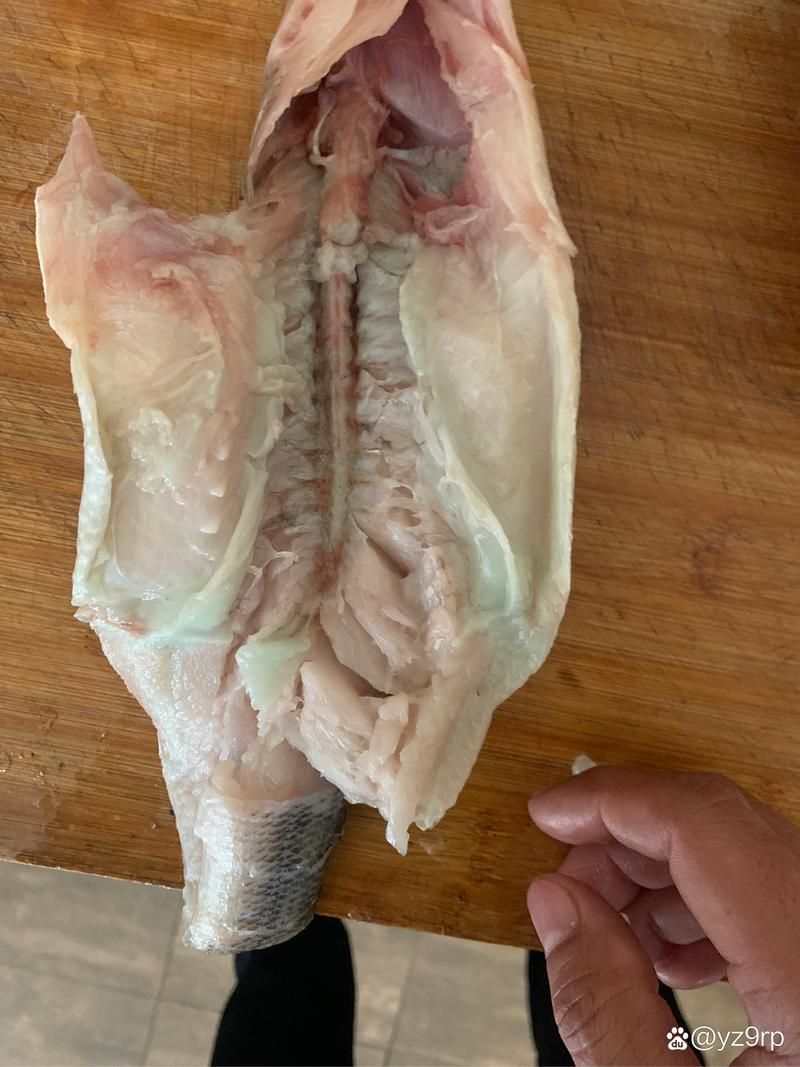 解凍后的魚多久不新鮮，解凍后的魚在室溫下放置超過兩小時，其新鮮度會顯著下降 解凍后的魚多久不新鮮，解凍后的魚在室溫下放置超過兩小時，其新鮮度會顯著下降 龍魚百科 第1張