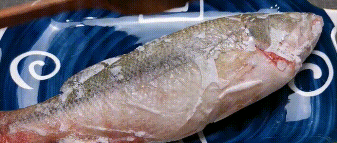 解凍后的魚多久不新鮮，解凍后的魚在室溫下放置超過兩小時，其新鮮度會顯著下降 解凍后的魚多久不新鮮，解凍后的魚在室溫下放置超過兩小時，其新鮮度會顯著下降 龍魚百科 第3張