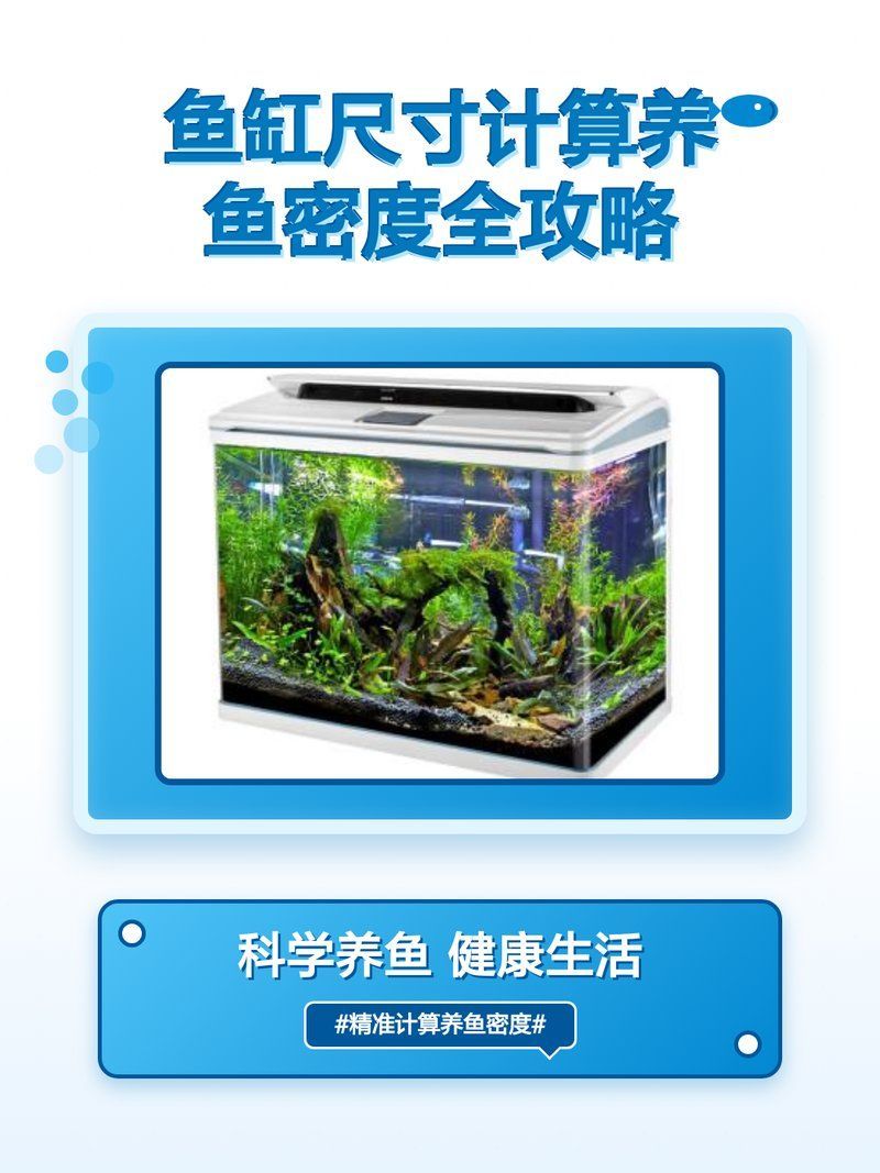 魚缸尺寸與養魚數量關系，發財宅宅宅,魚缸尺寸計算與養魚密度全攻略
