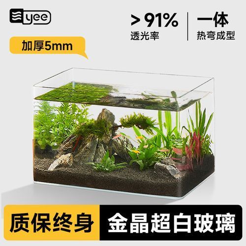 2025年魚缸價格范圍是多少，2025年主流魚缸型號對比表 2025年魚缸價格范圍是多少，2025年主流魚缸型號對比表 龍魚百科 第1張