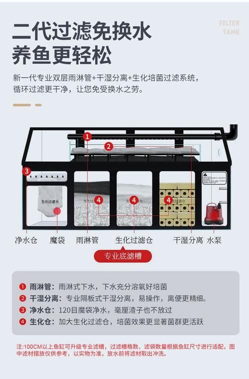 養(yǎng)龍魚需要哪些配套設(shè)施，養(yǎng)龍魚的配套設(shè)施