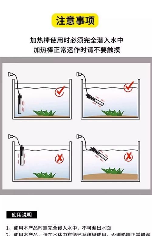 養(yǎng)龍魚需要哪些配套設(shè)施，養(yǎng)龍魚的配套設(shè)施