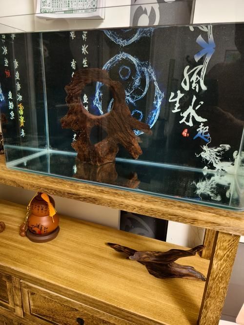 養(yǎng)龍魚需要哪些配套設(shè)施，養(yǎng)龍魚的配套設(shè)施