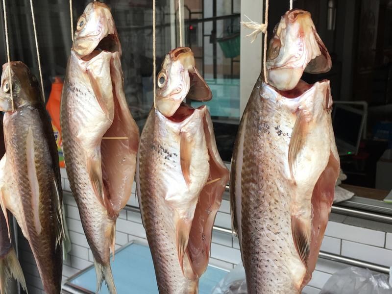 還有哪些鶴山龍魚吃法？，鶴山龍魚的吃法