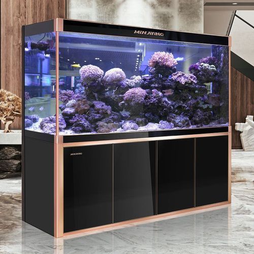 閩江水族龍魚缸的評價如何，閩江水族龍魚缸主流型號對比表，閩江龍魚缸的評價如何