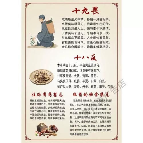 中草藥療法有哪些禁忌癥，《中草藥療法禁忌癥》 中草藥療法有哪些禁忌癥，《中草藥療法禁忌癥》 龍魚百科 第5張