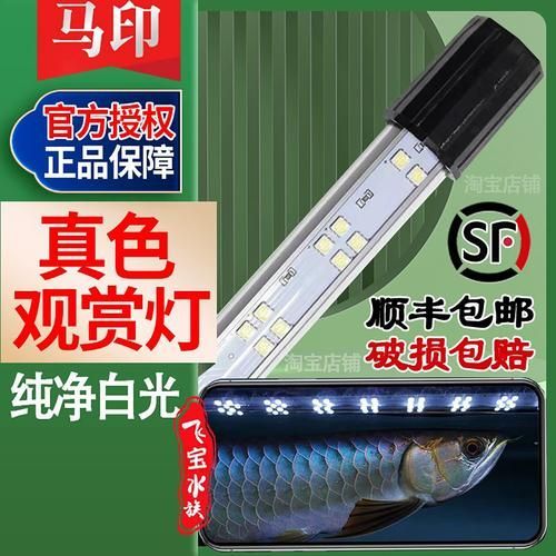 有哪些品牌的高端龍魚燈推薦，高端龍魚燈品牌推薦