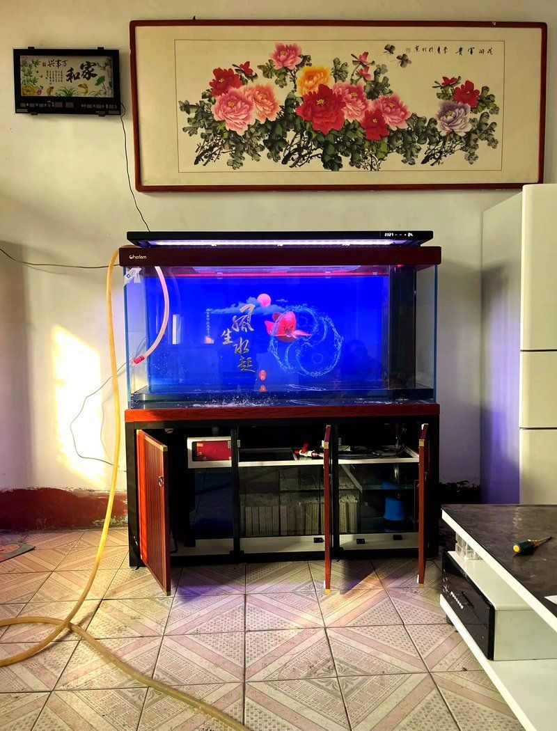 十大頂級(jí)龍魚缸的價(jià)格范圍，十大頂級(jí)龍魚缸價(jià)格范圍