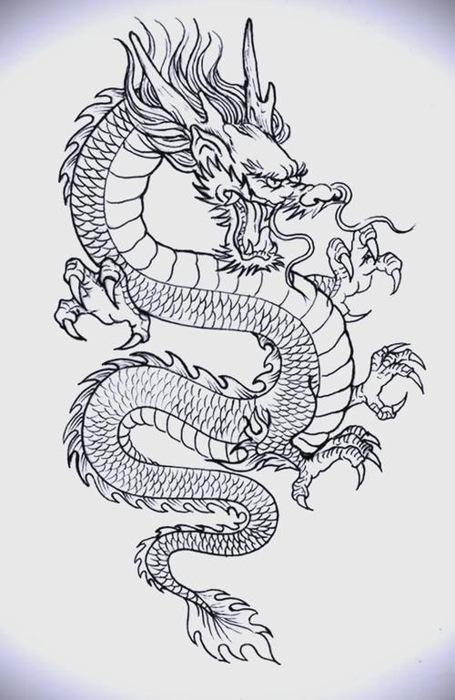 能否提供紅龍設計的線稿圖，紅龍設計的線稿圖可以提供嗎？
