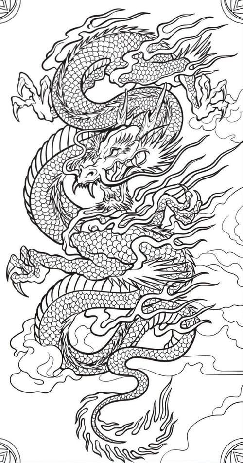 能否提供紅龍設計的線稿圖，紅龍設計的線稿圖可以提供嗎？
